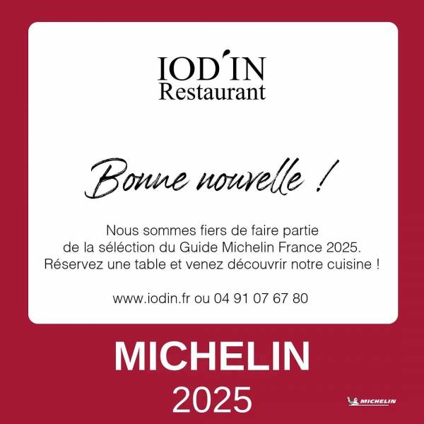 MICHELIN 2025